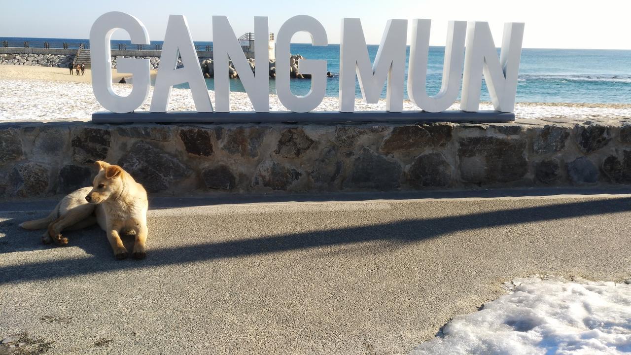 Ocean Capsule Guesthouse Gangneung Exterior photo